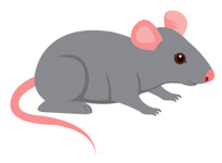 Free Mouse Clipart.