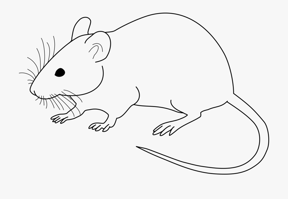 Laboratory Mouse Clip Art Library File Vector.