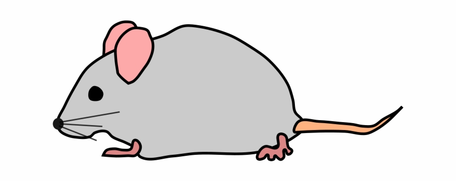 Mouse Mouse Clipart No Background.