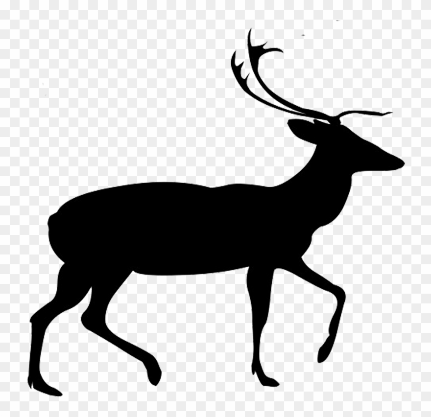 Vector Free Library Buck And Doe Clipart.
