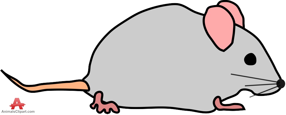 Gray mouse clipart free clipart design download.