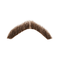 Download Moustache Free PNG photo images and clipart.
