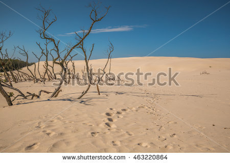 Moving Sand Dune Stock Photos, Royalty.