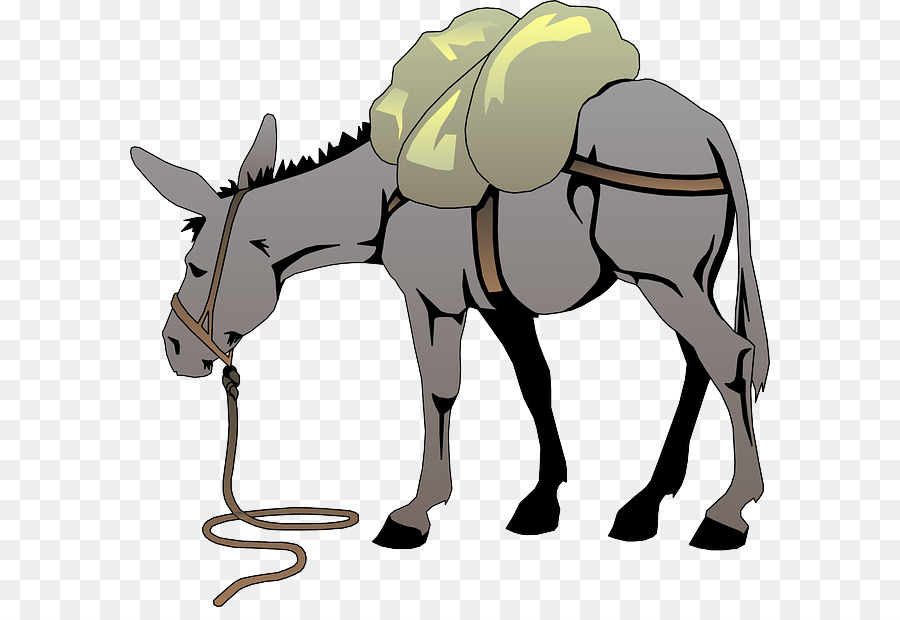 Horse Cartoon clipart.