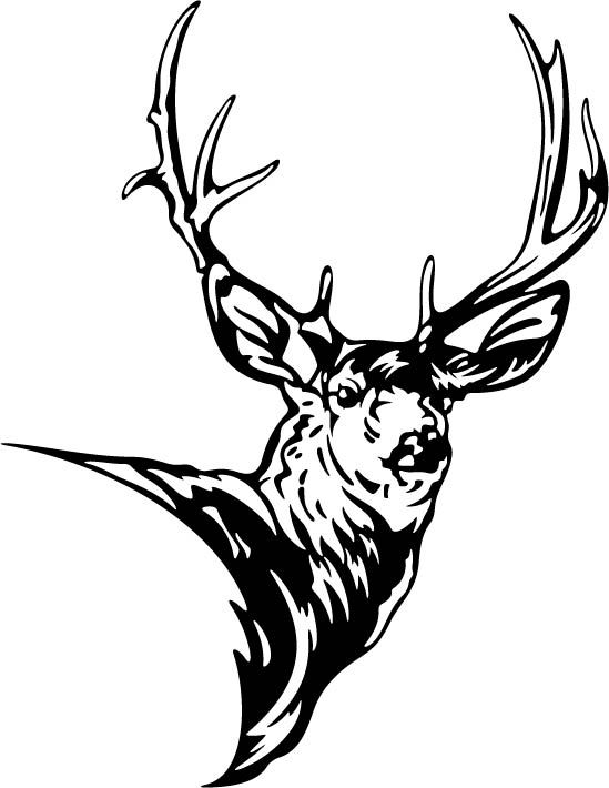 549x710 Head clipart mule deer.