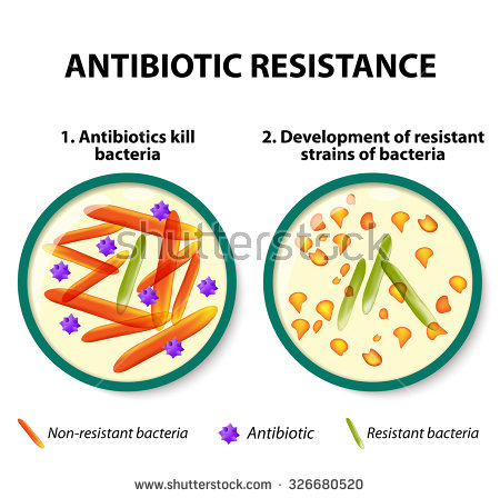 Antibiotic Resistance Stock Images, Royalty.