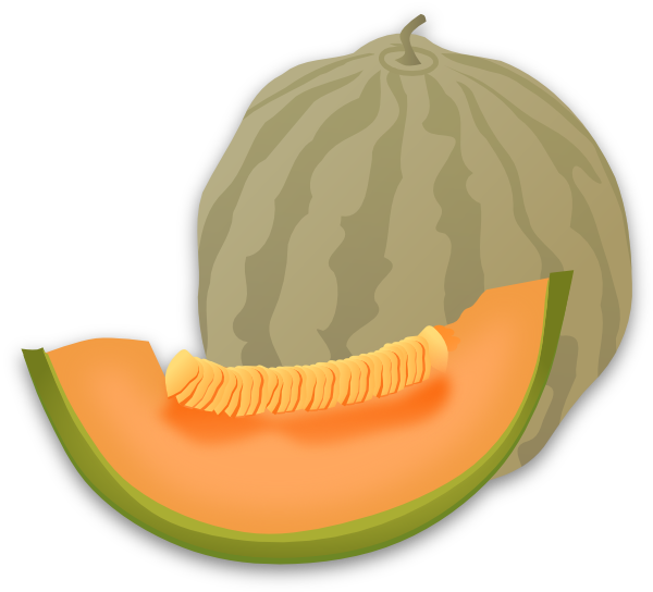 Musk Melon Clip Art at Clker.com.