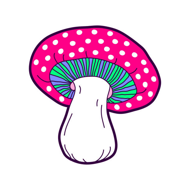 mushroom images clip art 10 free Cliparts | Download images on