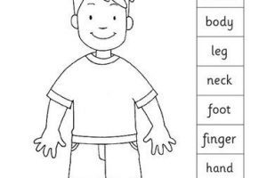Parts of the body for kids clipart black and white 3.