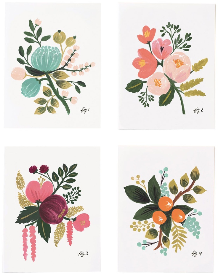1000+ images about ILLUSTRATION: Botanicals on Pinterest.