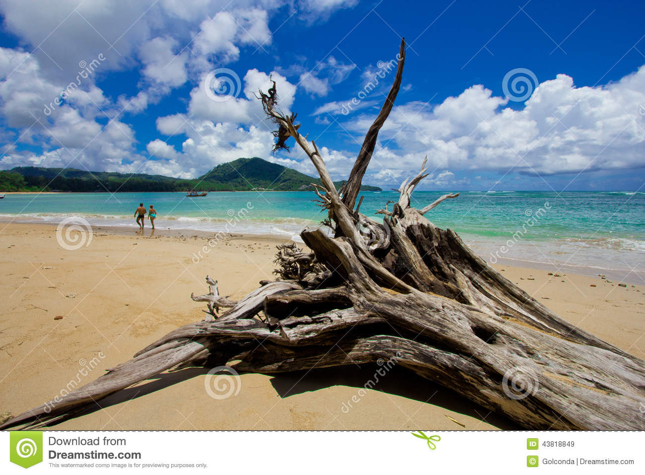 Nai Yang Beach Blue Cloundy Sky With Old Tree On The Beach Phuket. Nai Yang Beach Blue Cloundy Sky With Old Tree On The Beach Phuket.