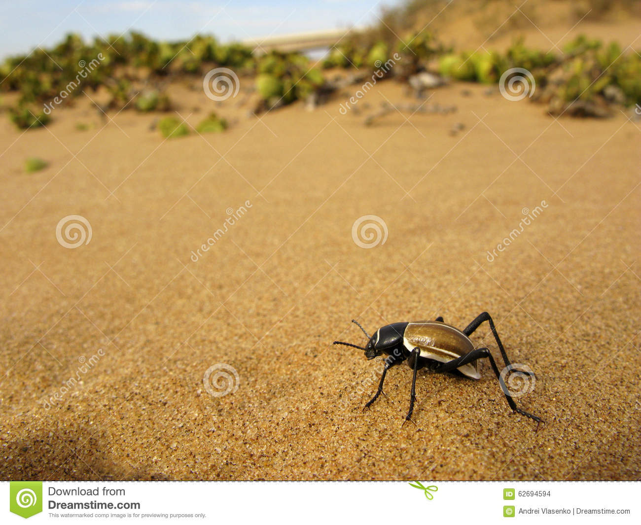 Namibia Desert Stock Image. Namibia Desert Stock Image.