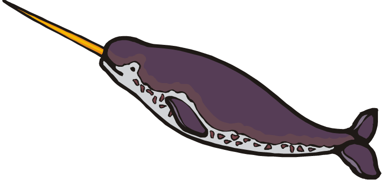 Narwhal Clip Art.