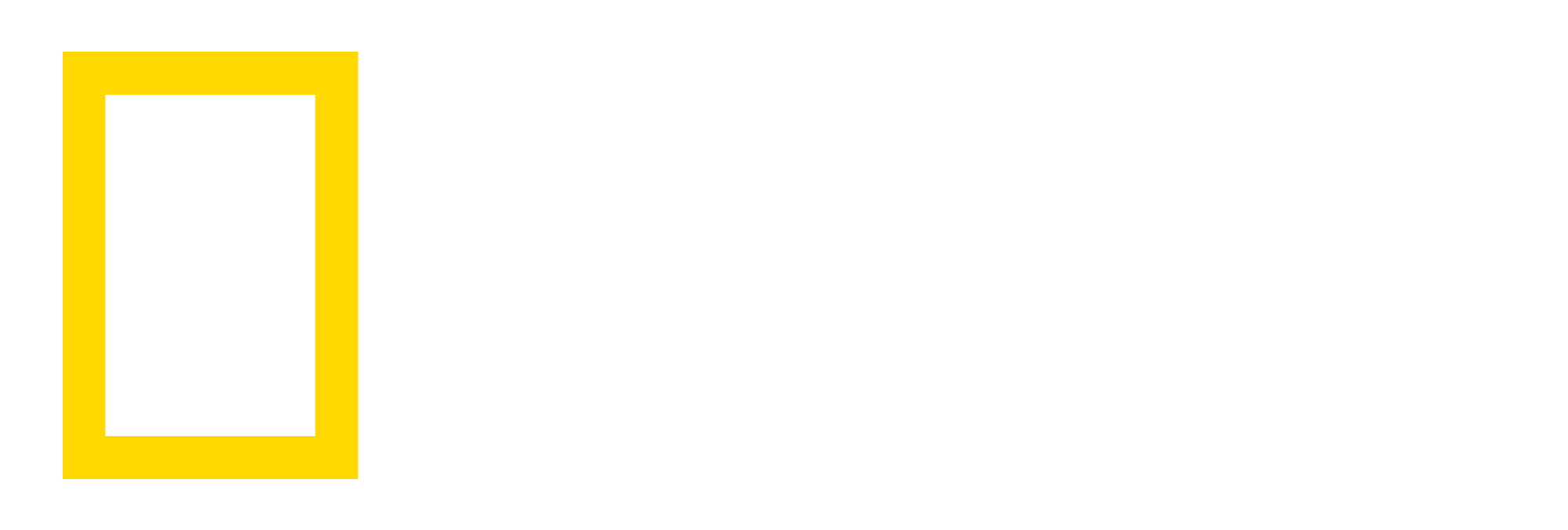 National Geographic Logo PNG Transparent National Geographic.
