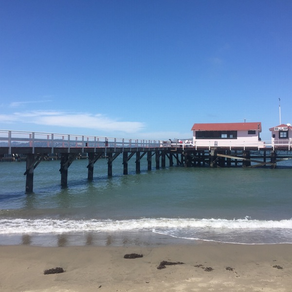 Photos at Greater Farallones National Marine Sanctuary.