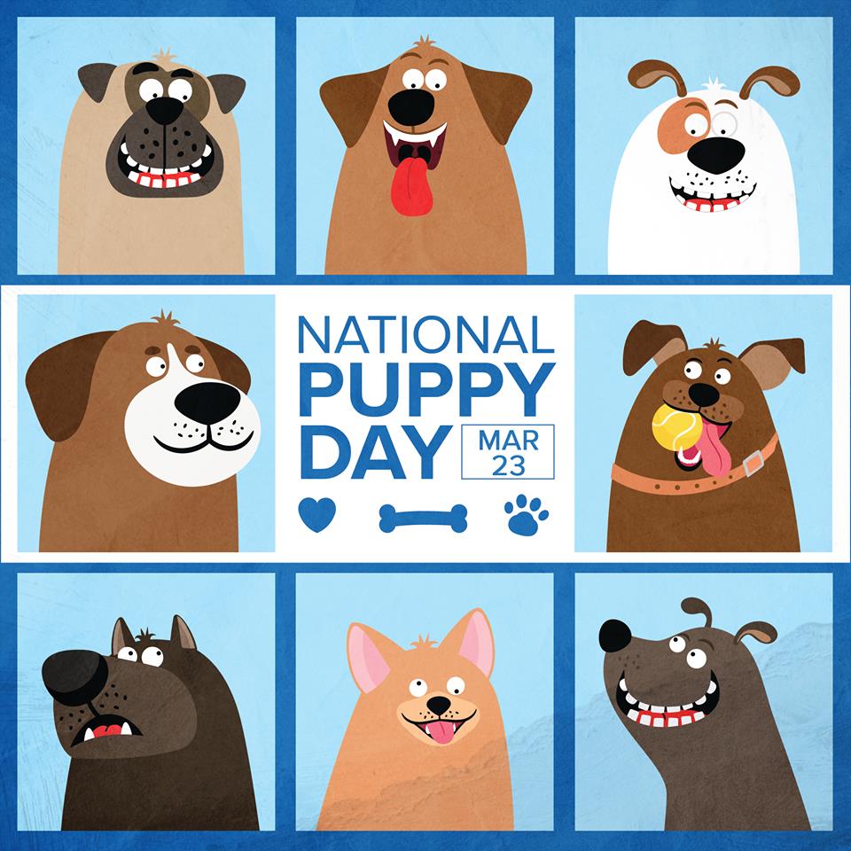 NATIONAL PUPPY DAY CLIPART 112px Image 9