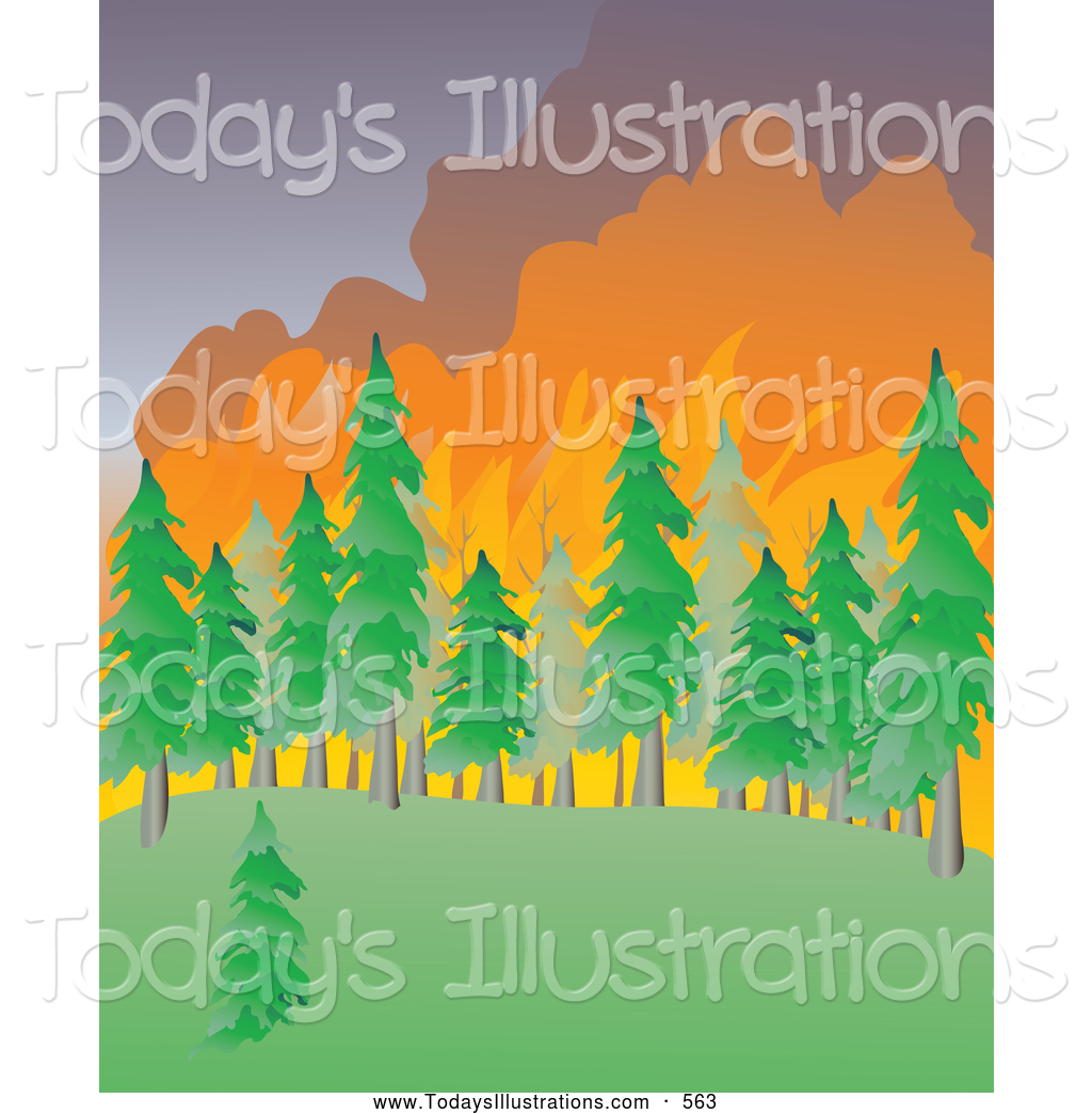 Clipart of a Wildfire Burning a Large Evergreen Forest Natural.
