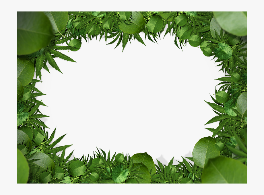 Nature Green Leaf Border Png Clipart Free Download.