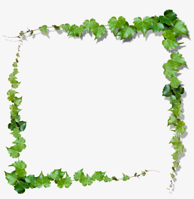 nature frame clipart 10 free Cliparts | Download images on Clipground 2024