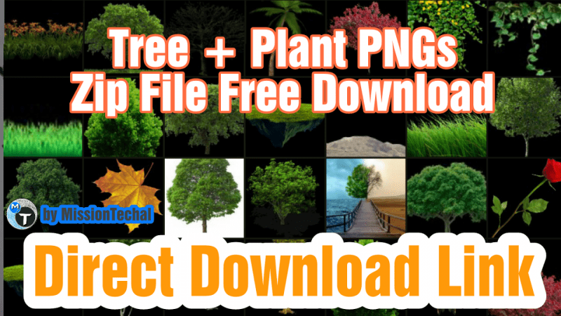 Part9] HD Tree PNG Zip File For Photoshop and PicsArt.
