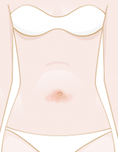 Collection of Navel clipart.