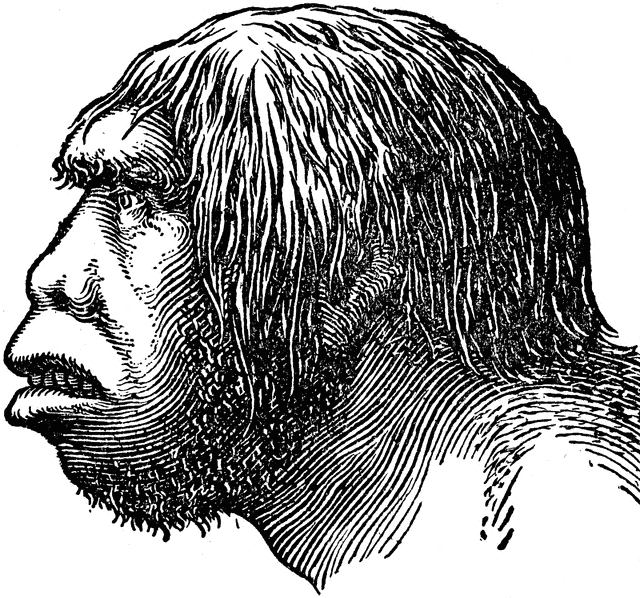 Neanderthal Man.