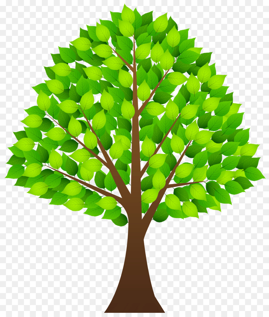 Neem Tree Clip art.