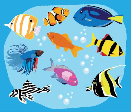 277 Nemo Fish Stock Vector Illustration And Royalty Free.
