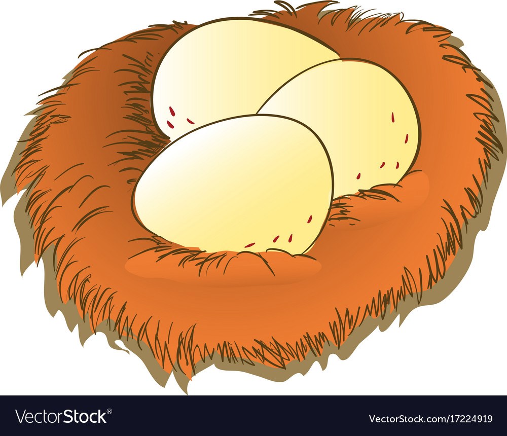 Eggs in a nest clipart 1 » Clipart Portal.