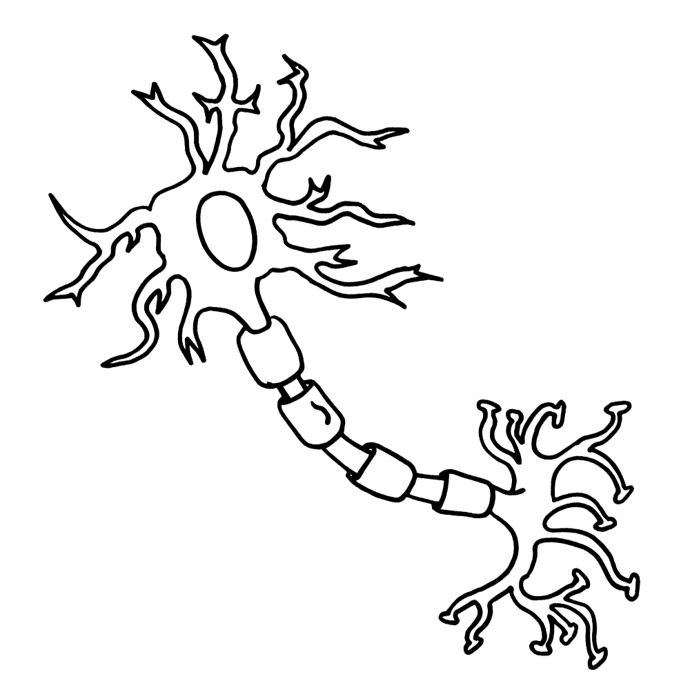 nevron diagram
