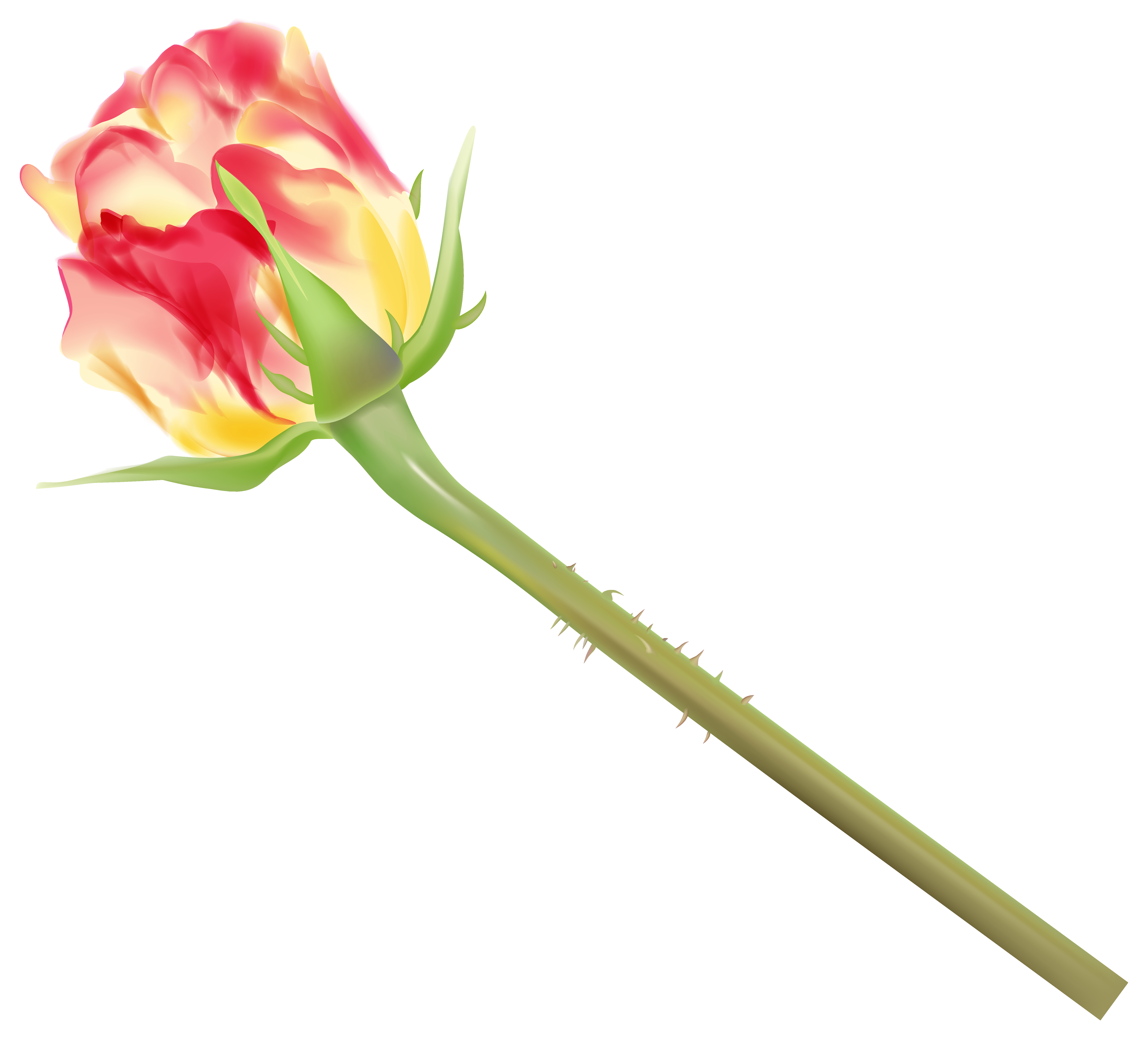 Yellow and Red Rose Bud PNG Clipart Image.