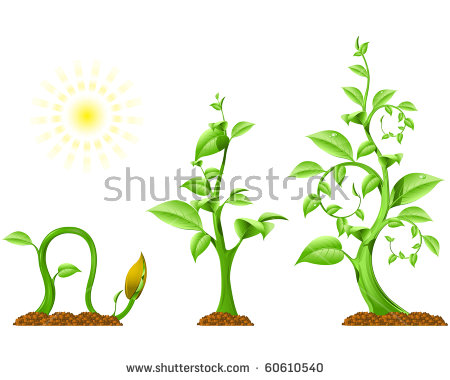 New growth clipart 20 free Cliparts | Download images on Clipground 2024