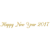 Download New Year 2017 Free PNG photo images and clipart.