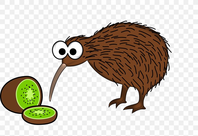 Bird New Zealand Cartoon Clip Art, PNG, 2400x1651px, New.