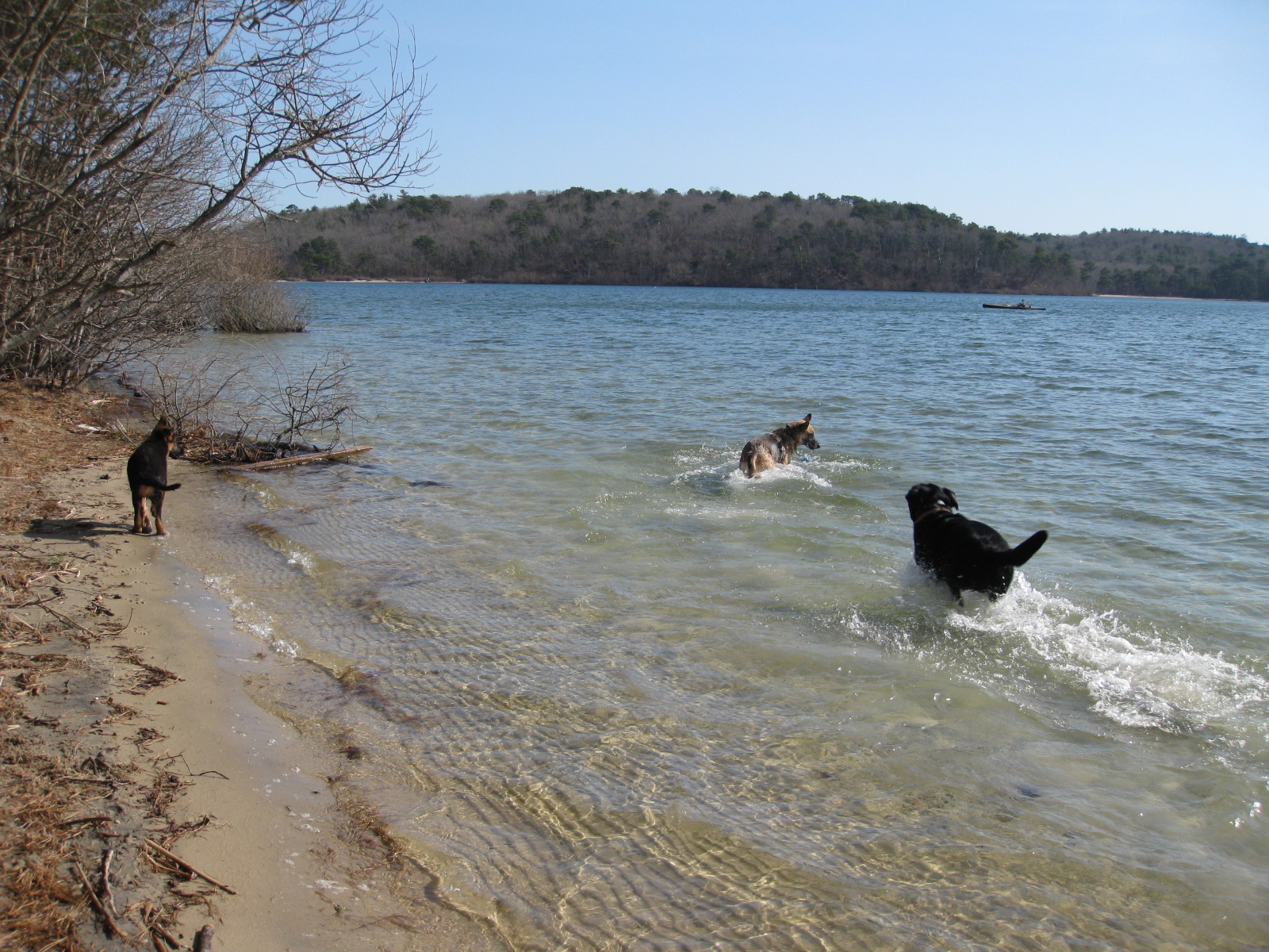 Nickerson State Park Pictures.