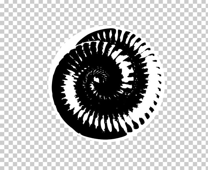 The Downward Spiral Nine Inch Nails Logo Sin Music PNG.