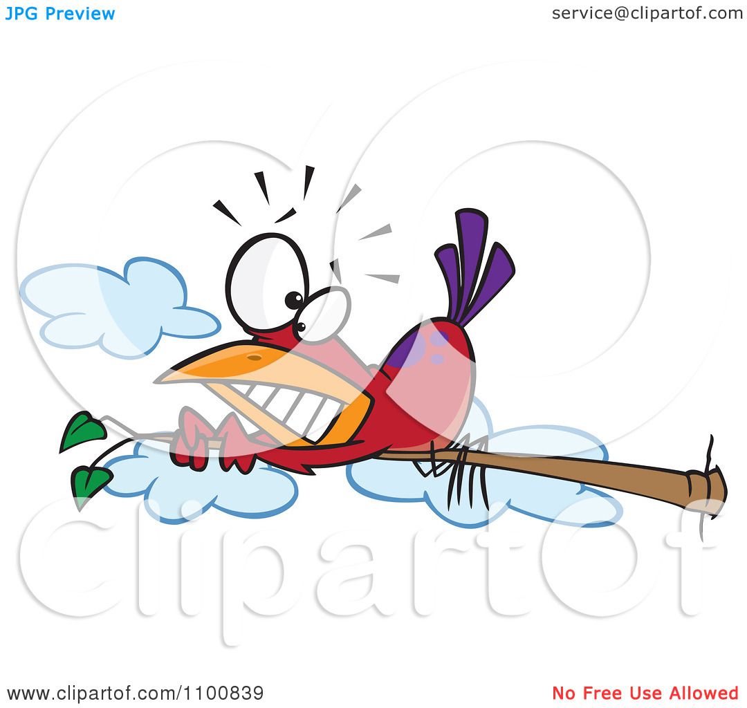 Clipart Red Bird Scared Of Heights Hugging A Tree Branch.