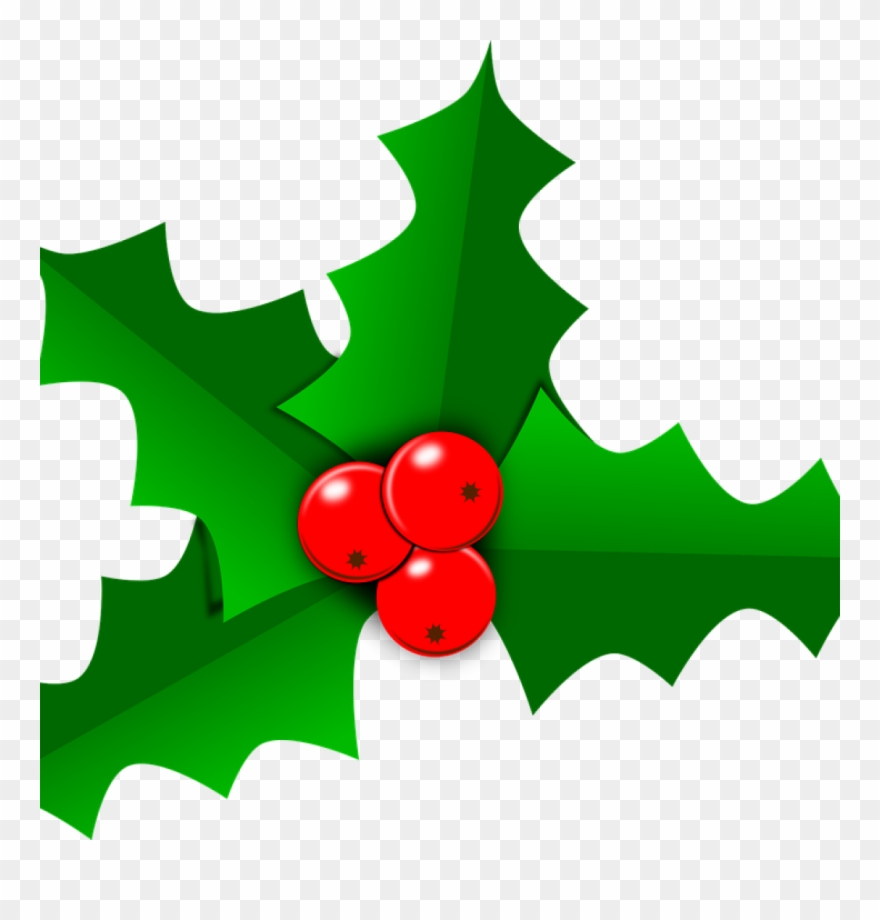 Holly Images Free Holly Christmas Leaf Free Vector.
