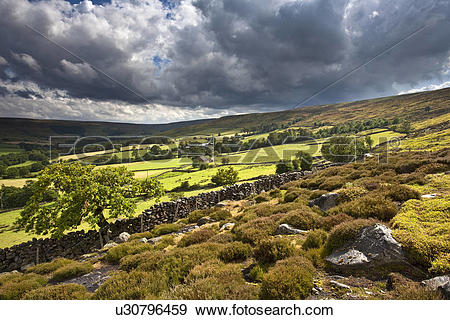 Stock Photograph of England, North Yorkshire, Westerdale Moor.