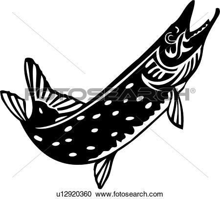 Northern pike Clip Art EPS Images. 15 northern pike clipart vector.