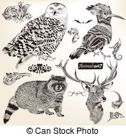 Northern raccoon Clip Art and Stock Illustrations. 118 Northern.