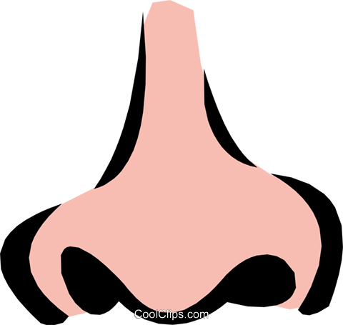 nose clipart png - Clipground