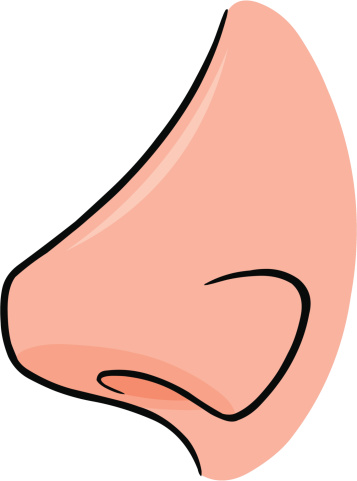 Clipart nose 3 » Clipart Station.