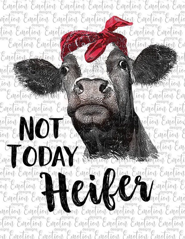 not-today-heifer-clipart-10-free-cliparts-download-images-on
