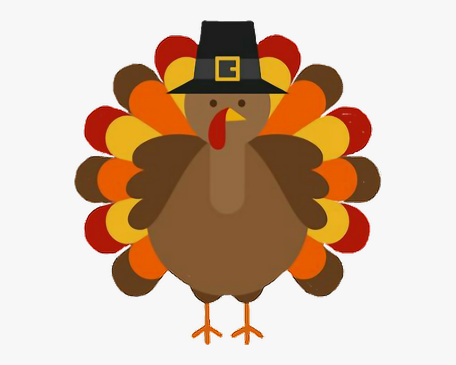 thanksgiving #turkey #pilgrim.