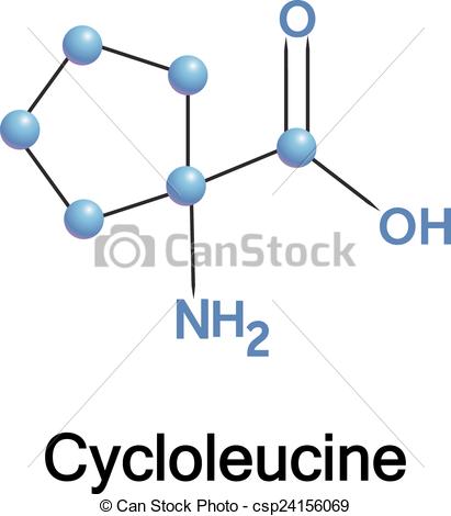 Clip Art Vector of Cycloleucine amino acid.