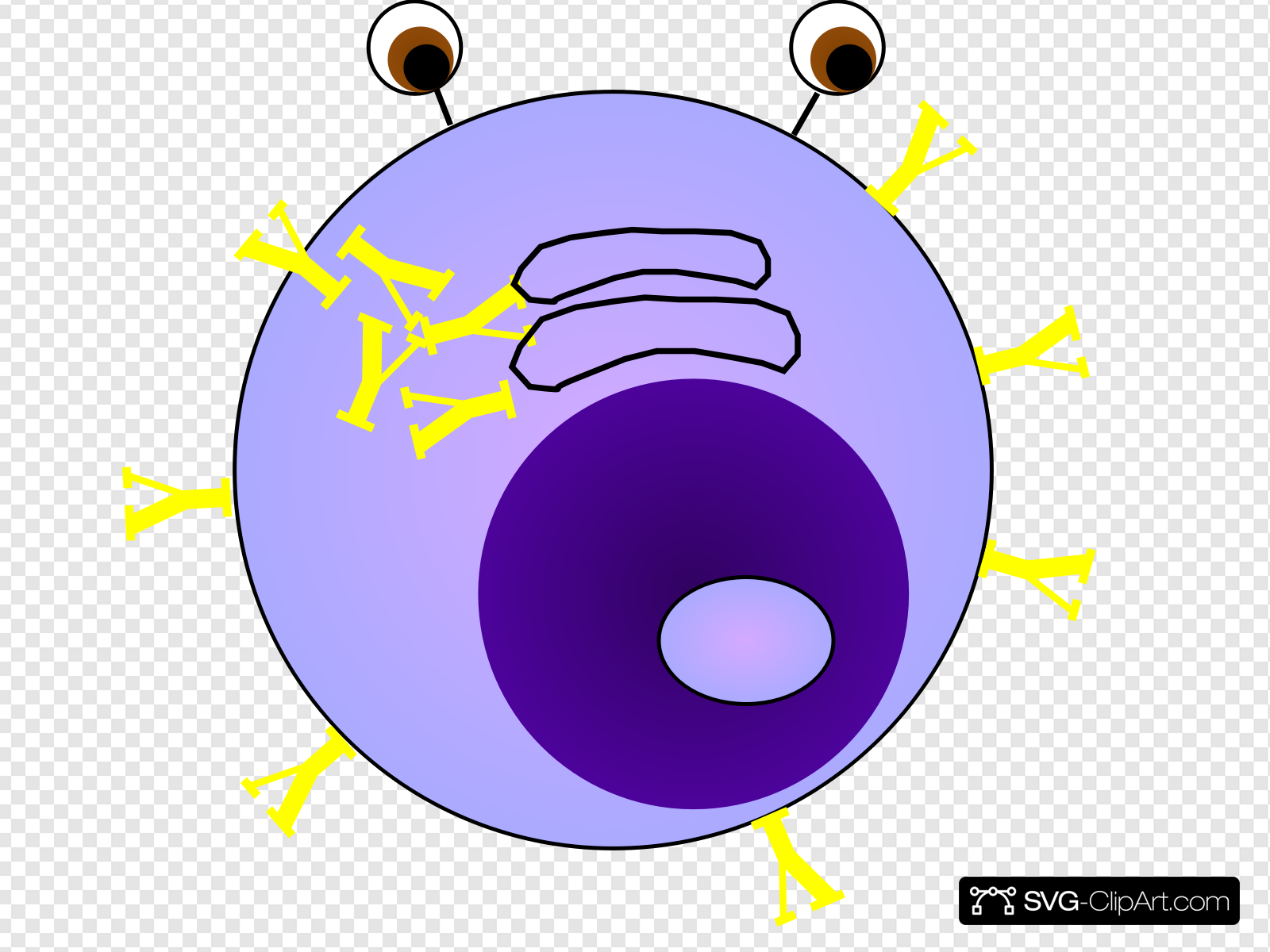 nucleolus clipart 10 free Cliparts | Download images on Clipground 2022