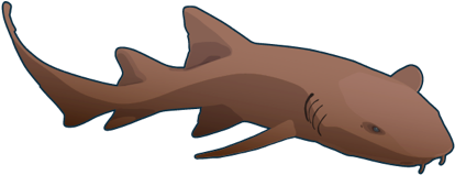 Download nurse shark clipart 10 free Cliparts | Download images on ...