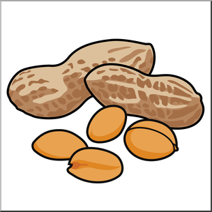 Nuts Clipart.