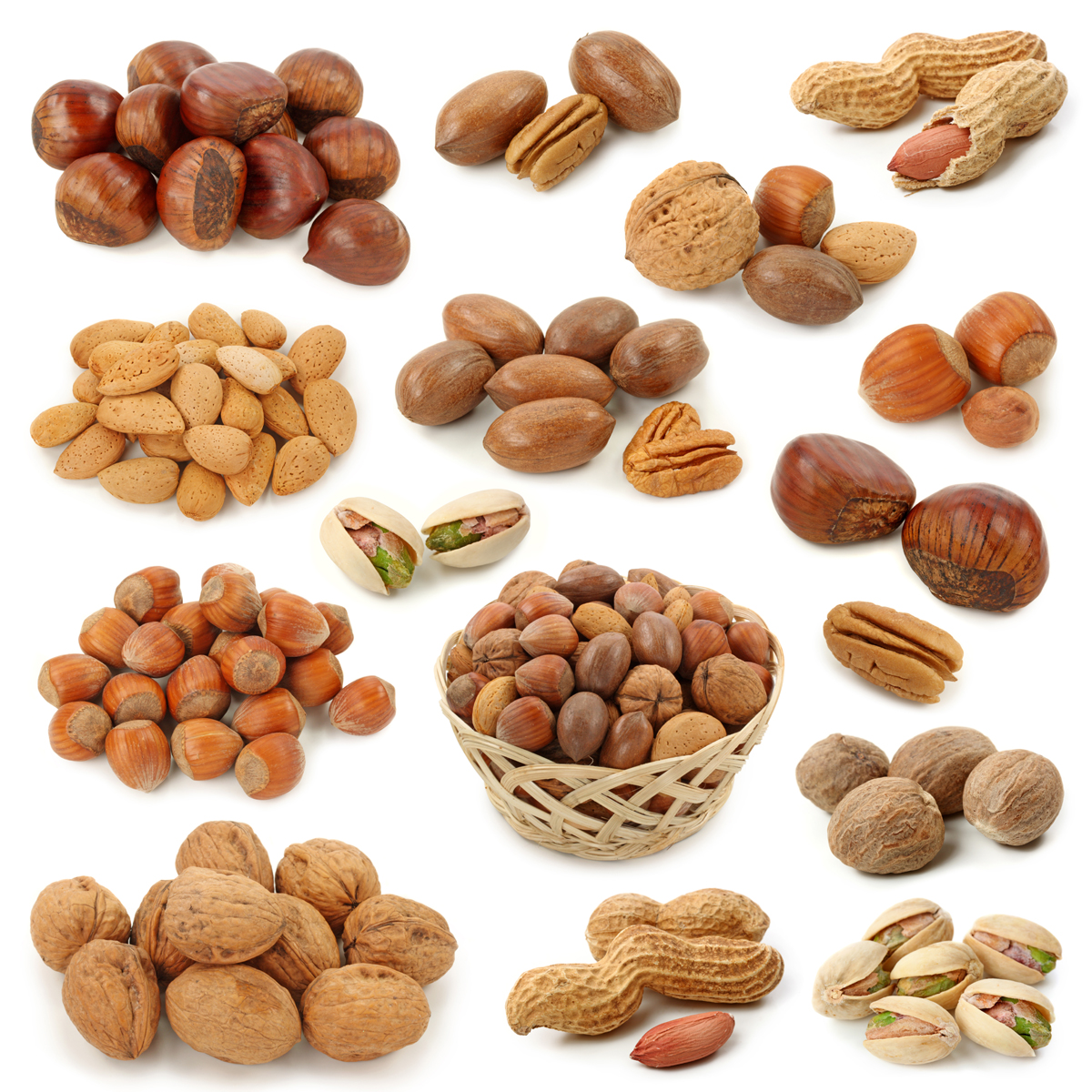 Nuts clipart 20 free Cliparts | Download images on Clipground 2022